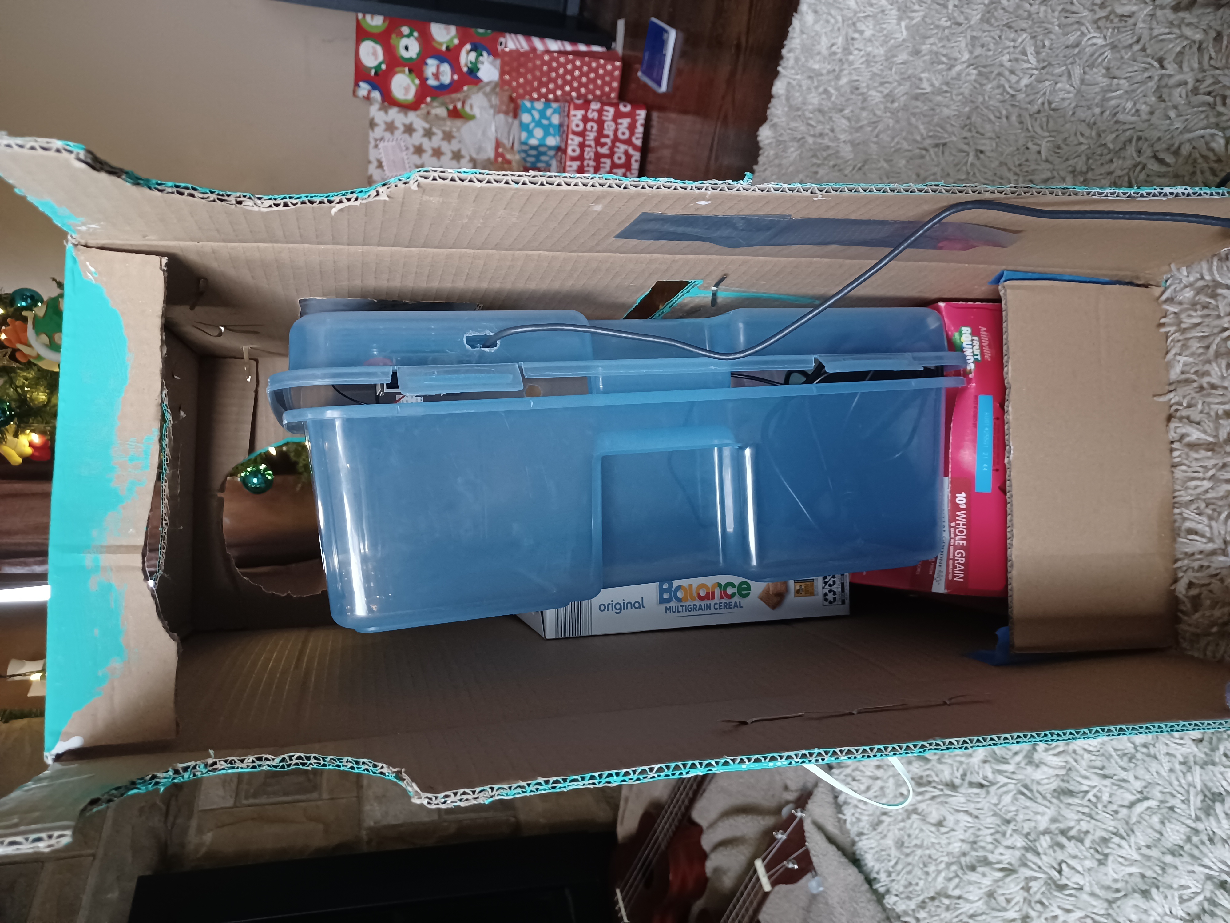 BMO from the side