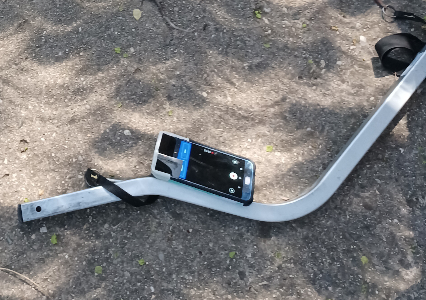 phone on the ground wearing solar glasses, near crescent shaped dappled leaf patterns