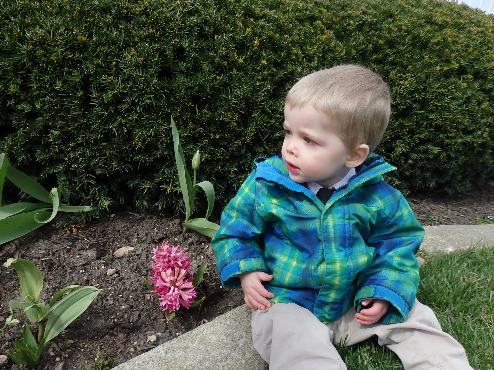 Austin sitting next to a flower