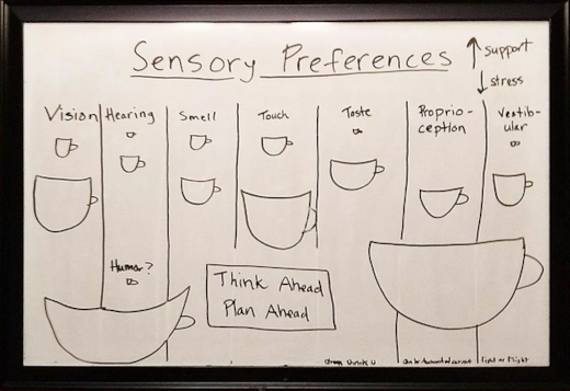 sensory preferences
