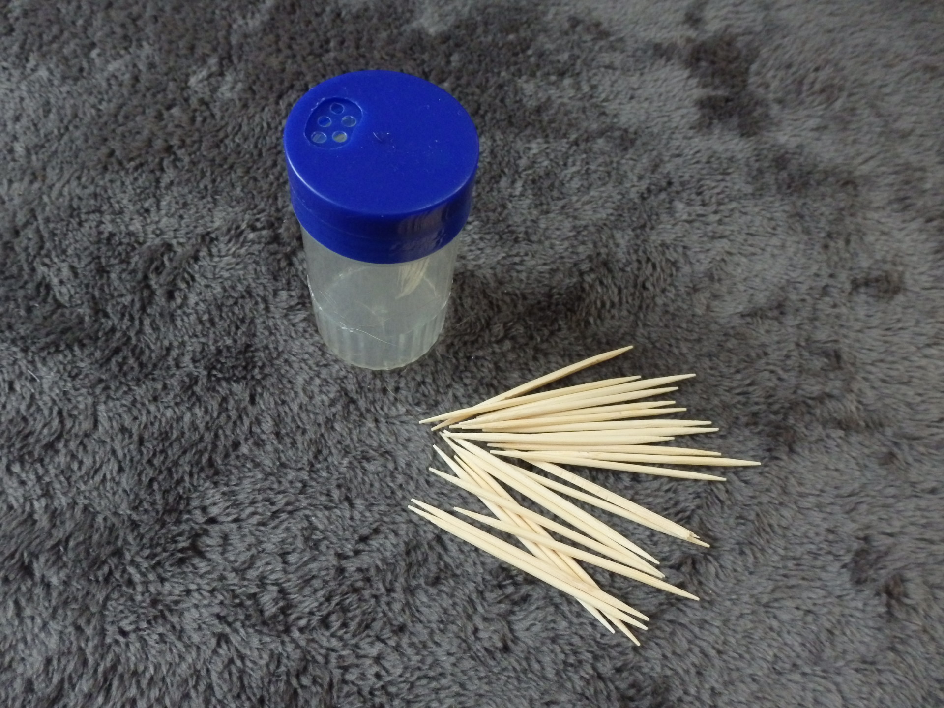 toothpicks to put in a jar with tiny holes