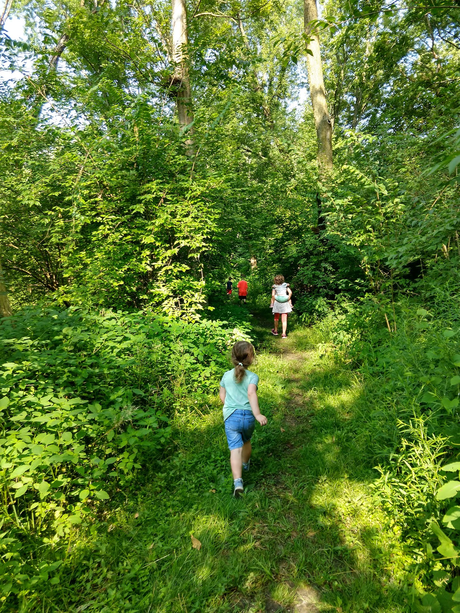 children hiking through a fen, toddler on the girl's back